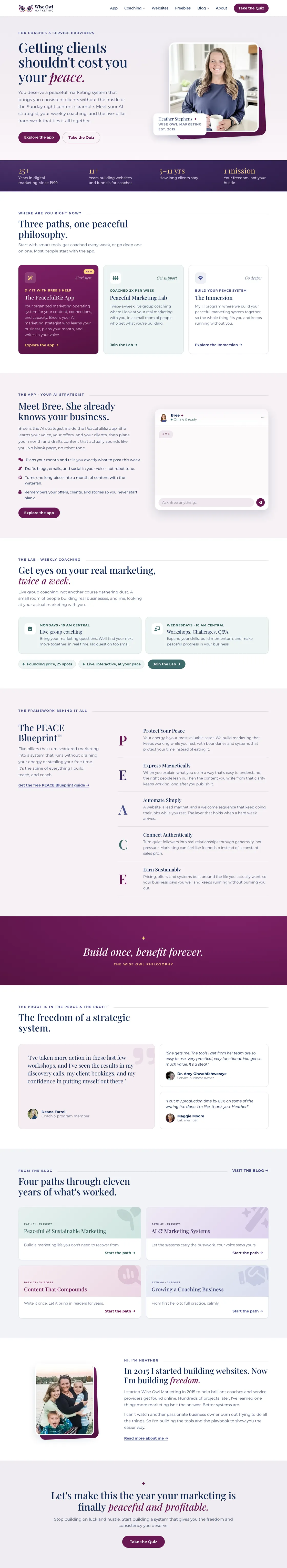 The full Wise Owl Marketing home page from top to bottom, showing the headline, the three paths, the PEACE Blueprint, client stories, blog cards, and the closing call to action